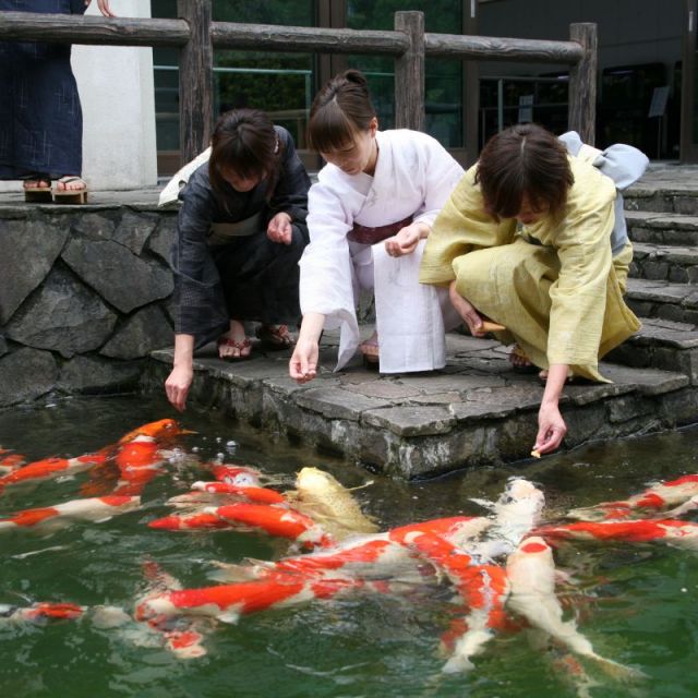 小千谷市錦鯉の里　