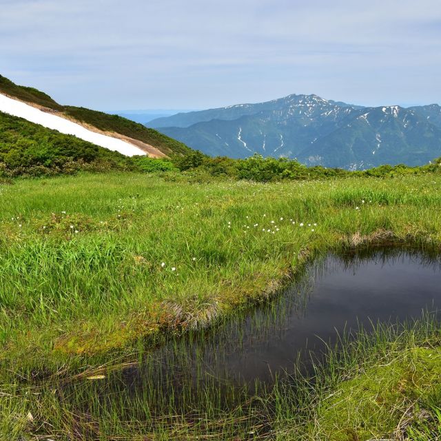 浅草岳・ムジナ沢登山口