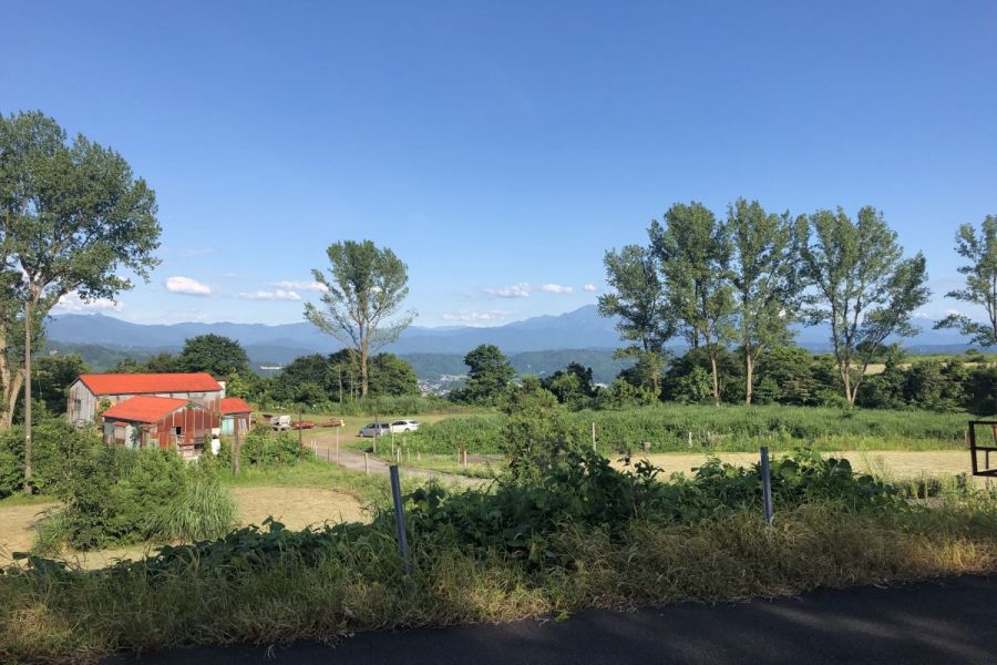 山本山花畑　臨時駐車場