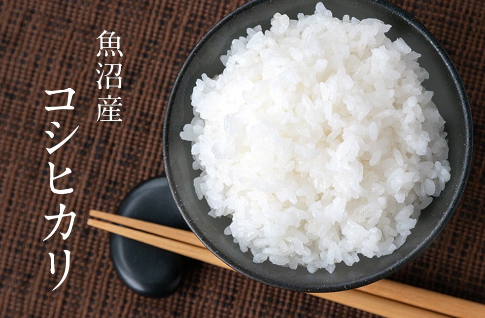 令和2年度米 魚沼産コシヒカリ
